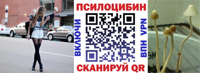 Купить закладки  Магнитогорск  Псилоцибиновые грибы мицелий 