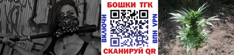 Купить  Магнитогорск  Каннабис Amnesia 